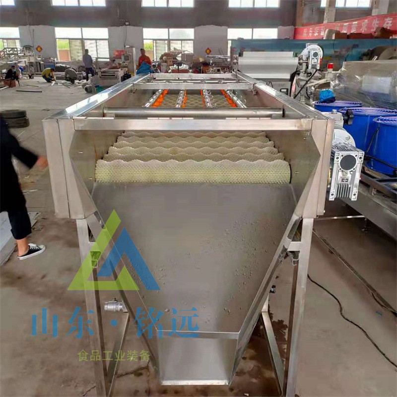 赤芍地瓜清洗黄精清洗机沙参去泥清洗机荸荠毛辊清洗机白芷清洗机图2