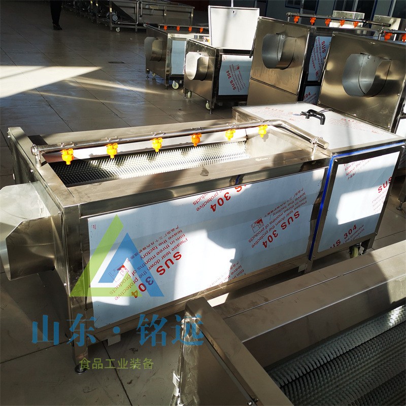 赤芍地瓜清洗黄精清洗机沙参去泥清洗机荸荠毛辊清洗机白芷清洗机图3