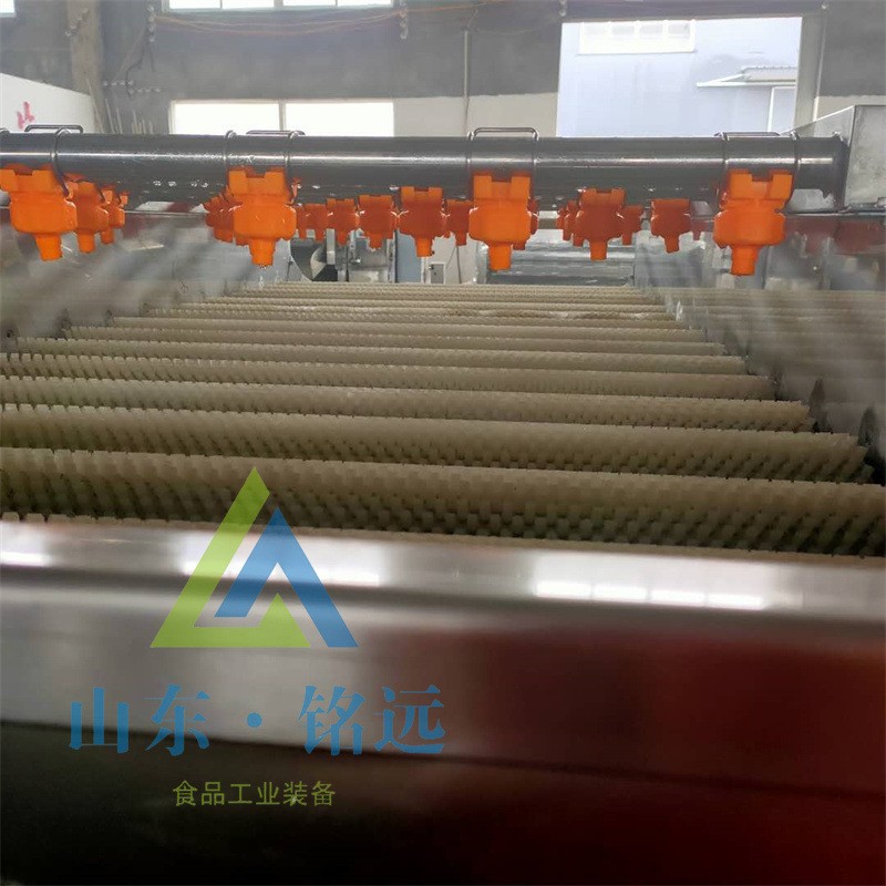 赤芍地瓜清洗黄精清洗机沙参去泥清洗机荸荠毛辊清洗机白芷清洗机图4