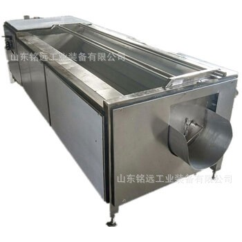 赤芍地瓜清洗黄精清洗机沙参去泥清洗机荸荠毛辊清洗机白芷清洗机图5