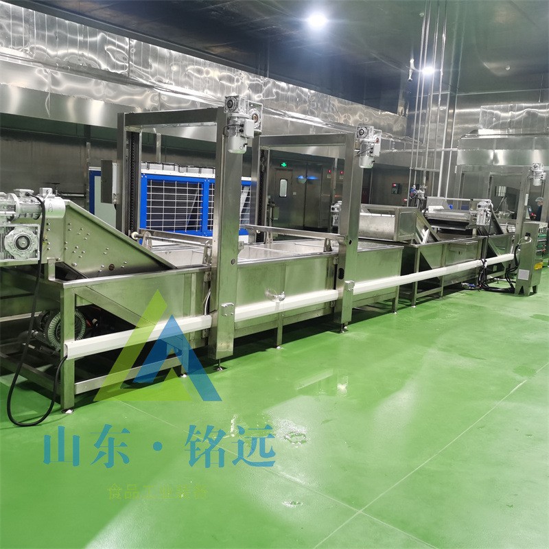 圣女果气泡清洗设备豆角洗菜设备柠檬气泡清洗机大枣山楂清洗设备