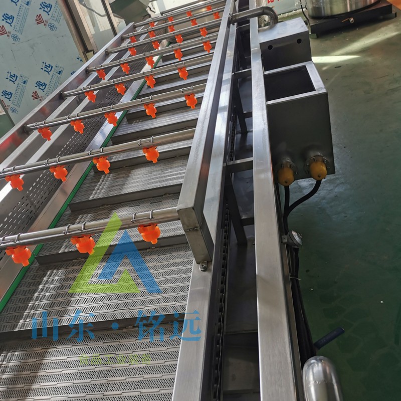 圣女果气泡清洗设备豆角洗菜设备柠檬气泡清洗机大枣山楂清洗设备图3