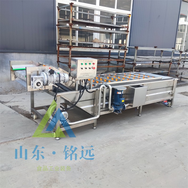圣女果气泡清洗设备豆角洗菜设备柠檬气泡清洗机大枣山楂清洗设备图2