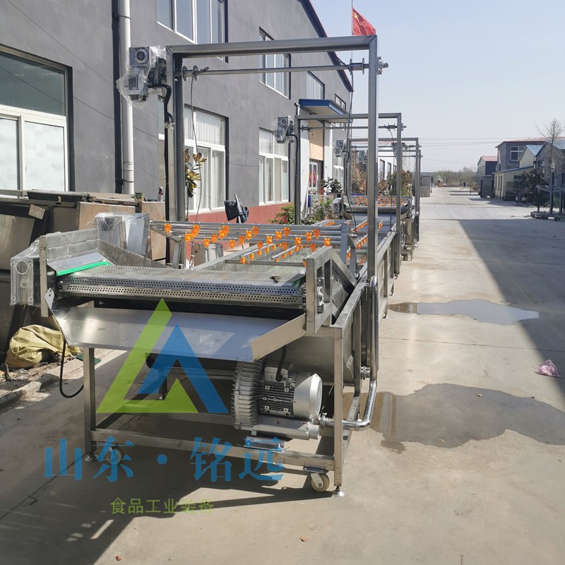圣女果气泡清洗设备豆角洗菜设备柠檬气泡清洗机大枣山楂清洗设备图4
