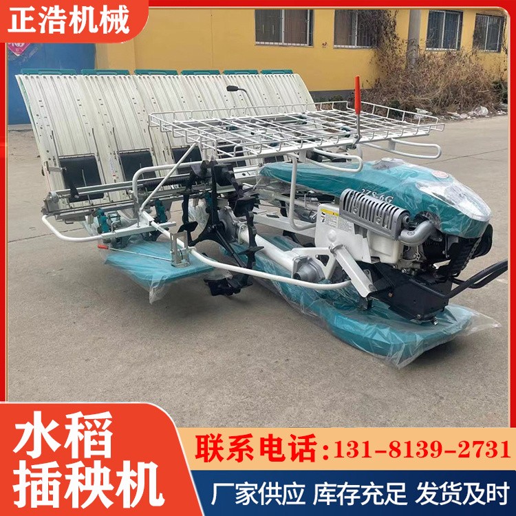汽油款小型水稻插秧机 水稻秧苗插秧种植机 正浩