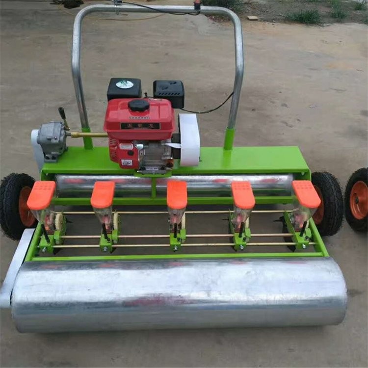 株距行距可调蔬菜精播机 十行药材种子种植机 自走式播种机百大工厂-迎新春 工厂购重磅来袭！图5