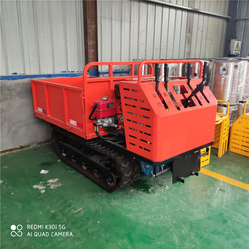 小型履带车 (41)