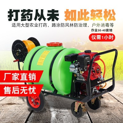 园林喷雾器 手推式高压汽油打药机 联农动力养殖消毒机包邮