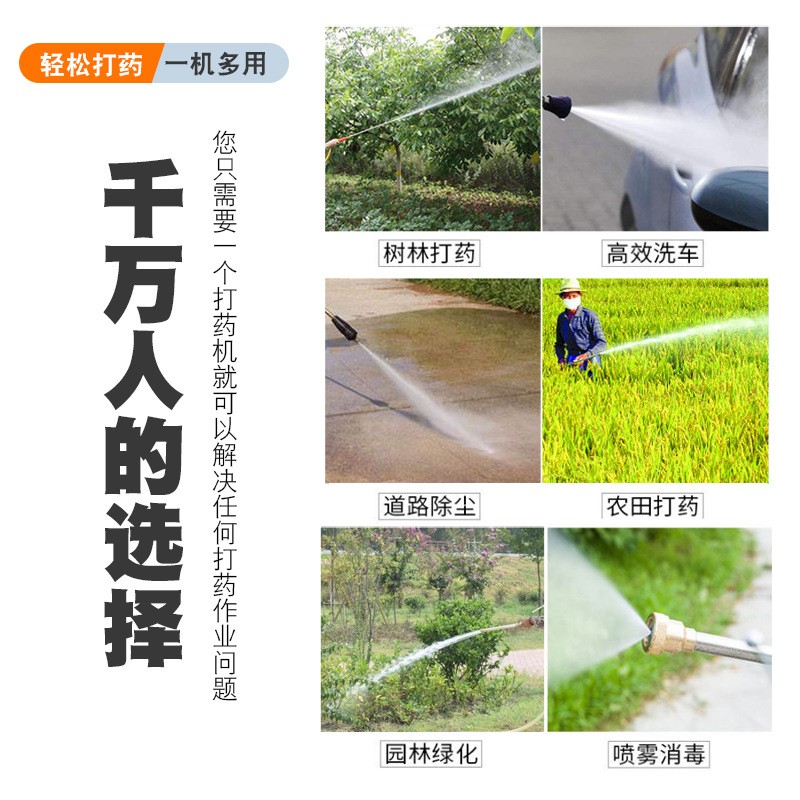 园林喷雾器 手推式高压汽油打药机 联农动力养殖消毒机包邮图4