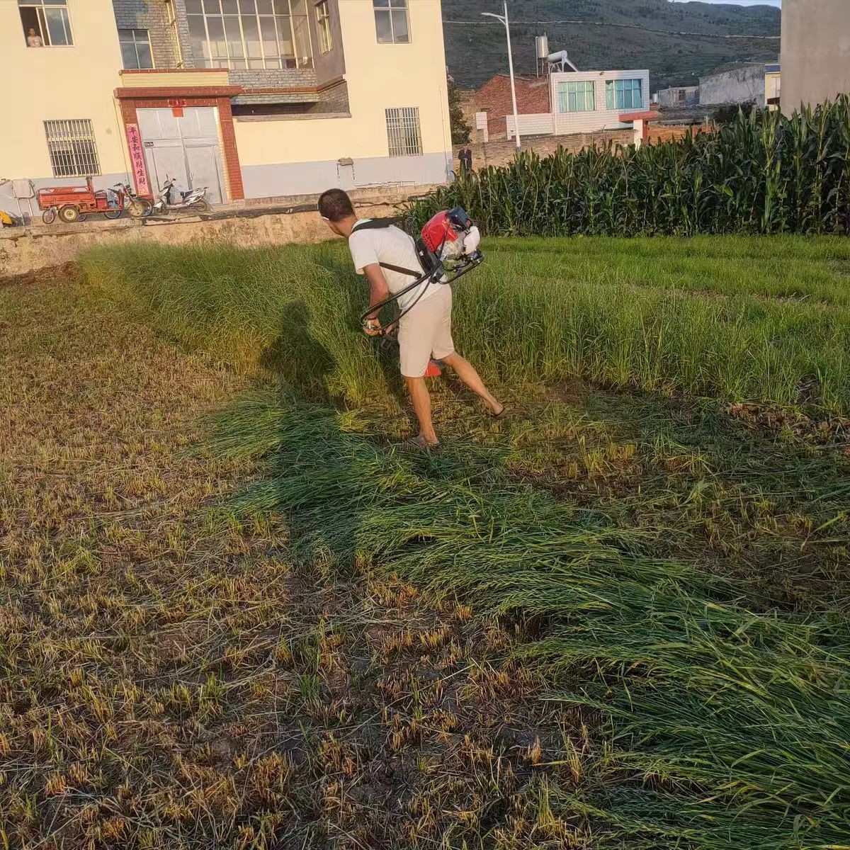 德国庭森割草机汽油机背负式四冲程小型多功能农用打锄草家用神器图3