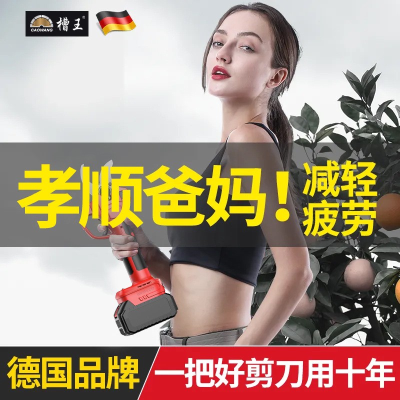锂电剪刀剪树枝专用修剪树枝艺园修花绿化绿篱园艺剪园林大修枝剪图4