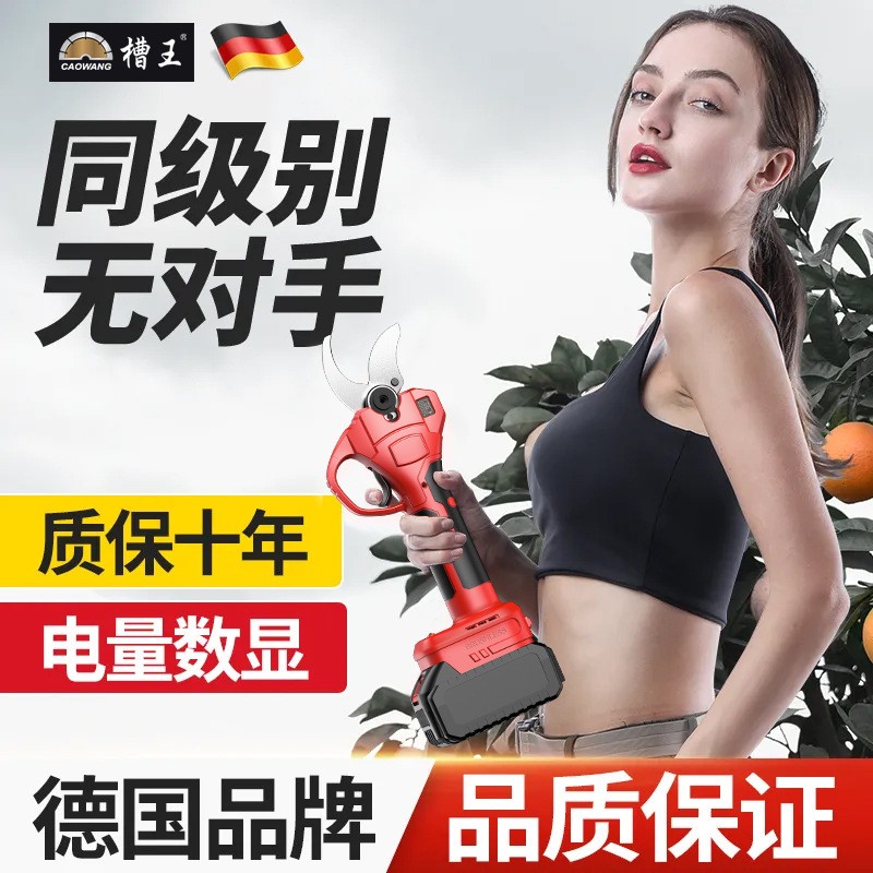 锂电剪刀剪树枝专用修剪树枝艺园修花绿化绿篱园艺剪园林大修枝剪图2