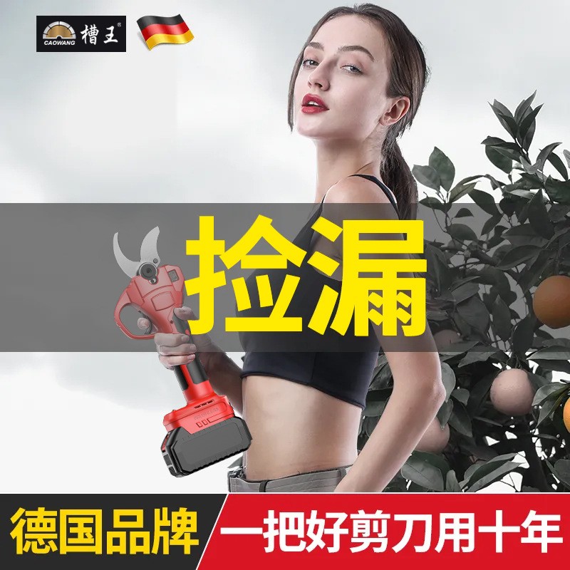 锂电剪刀剪树枝专用修剪树枝艺园修花绿化绿篱园艺剪园林大修枝剪图5