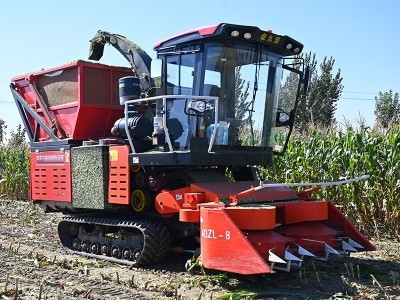 金九源履带式青储机图2