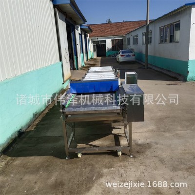 速食下饭菜自动灭菌机 腌笋酸菜连续杀菌设备 开胃菜杀菌机伟泽