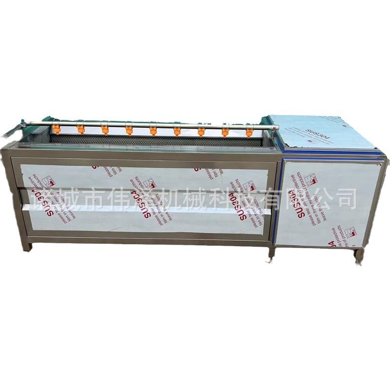 毛辊清洗机 不锈钢蔬菜海鲜清洗加工设备 转速可调生蚝清洗设备图5