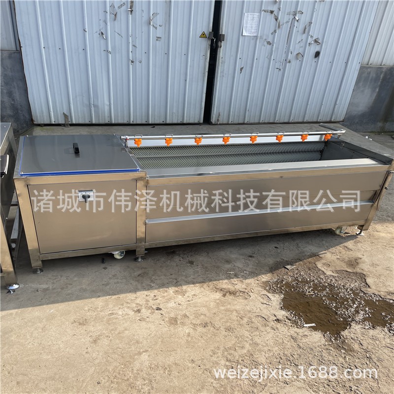 毛辊清洗机 不锈钢蔬菜海鲜清洗加工设备 转速可调生蚝清洗设备图3