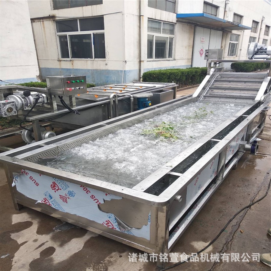 气浴式海鲜果蔬清洗设备 中药材气泡清洗机 海带翻浪式气泡清洗机图2