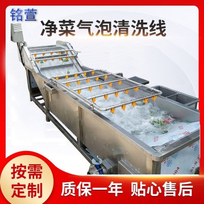 气浴式海鲜果蔬清洗设备 中药材气泡清洗机 海带翻浪式气泡清洗机