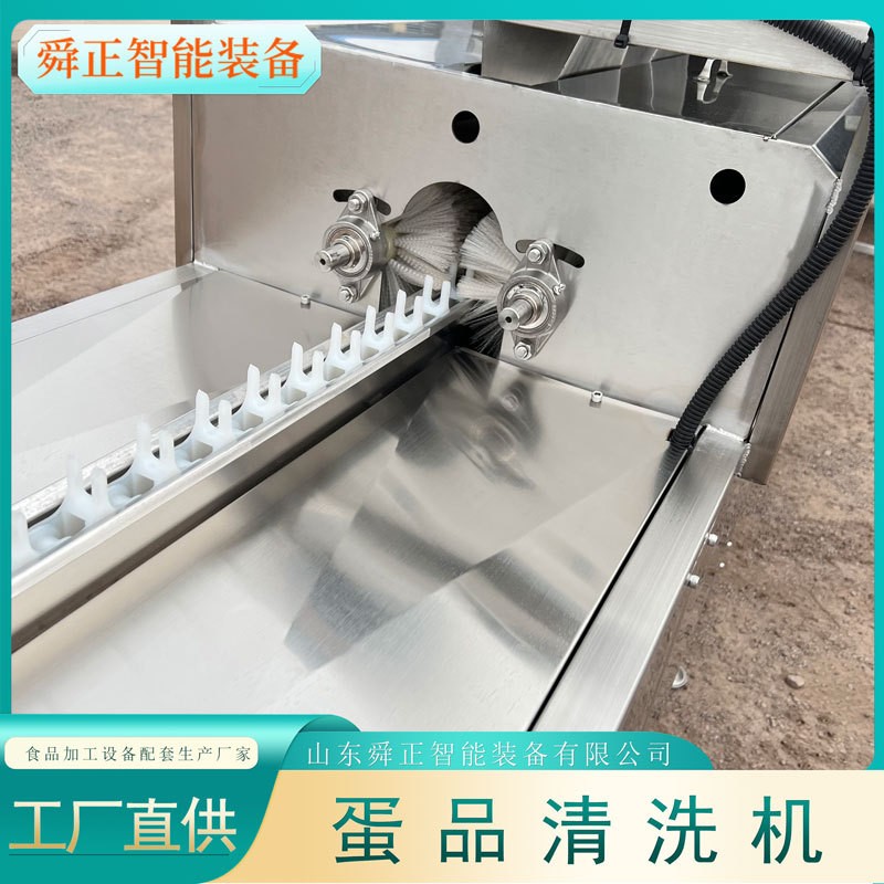 诸城鸡蛋鸭蛋清洗机 单排保洁蛋清洗设备 鸡蛋清洗光检喷码一体机图2