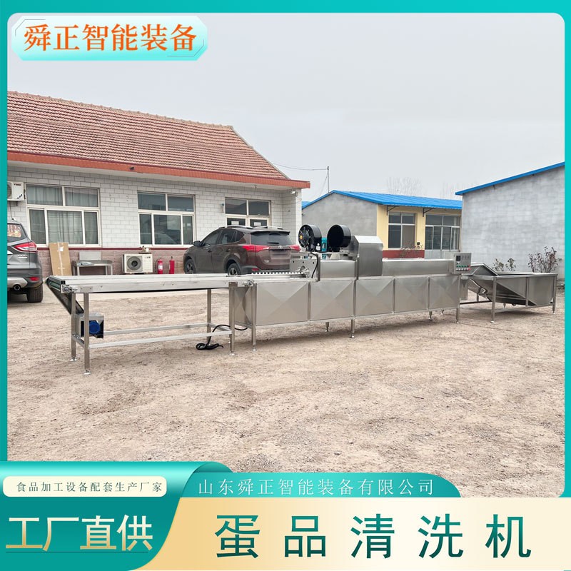 诸城鸡蛋鸭蛋清洗机 单排保洁蛋清洗设备 鸡蛋清洗光检喷码一体机图5