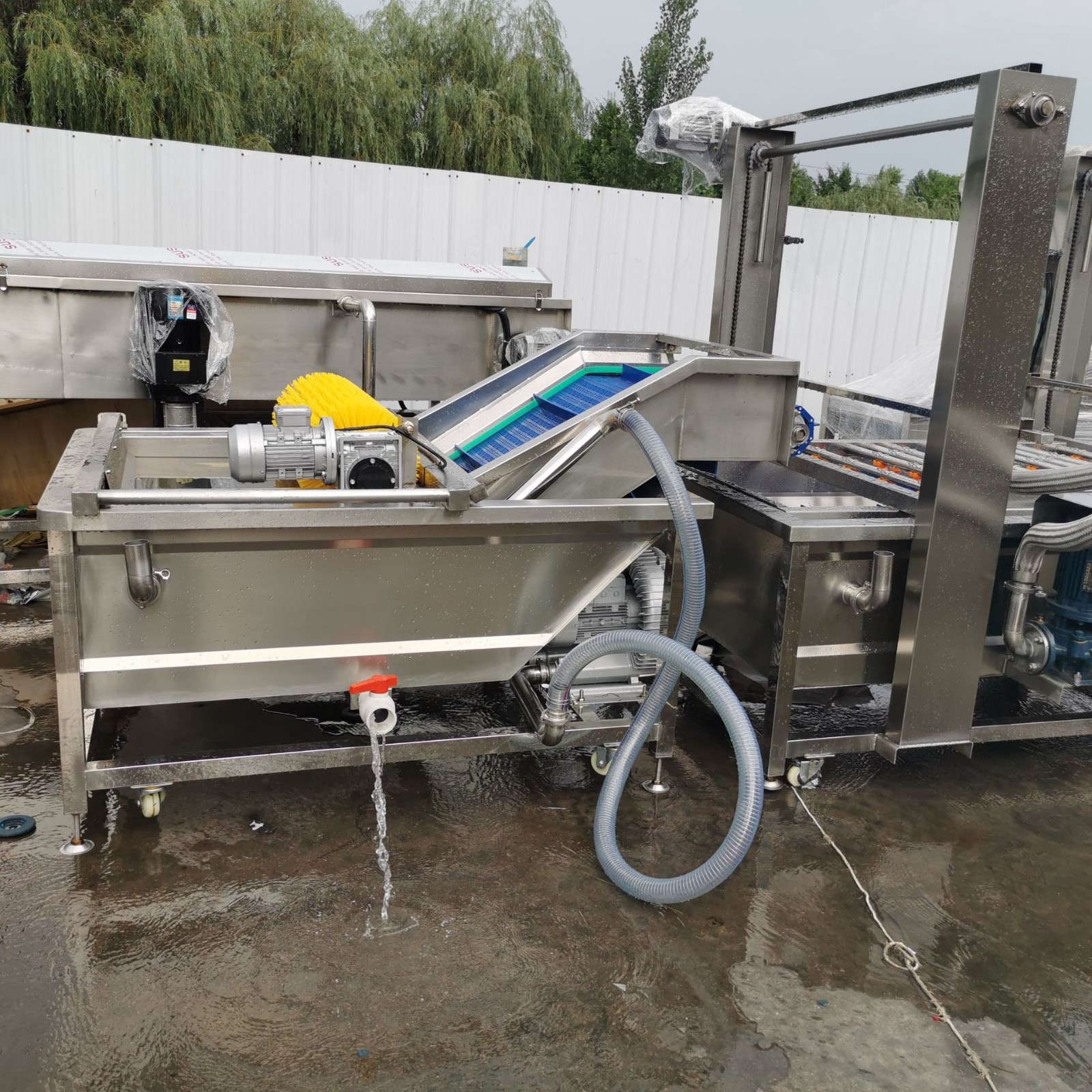 全自动毛豆清洗机 海鲜清洗设备 商用大型小龙虾流水线海参去杂机图3