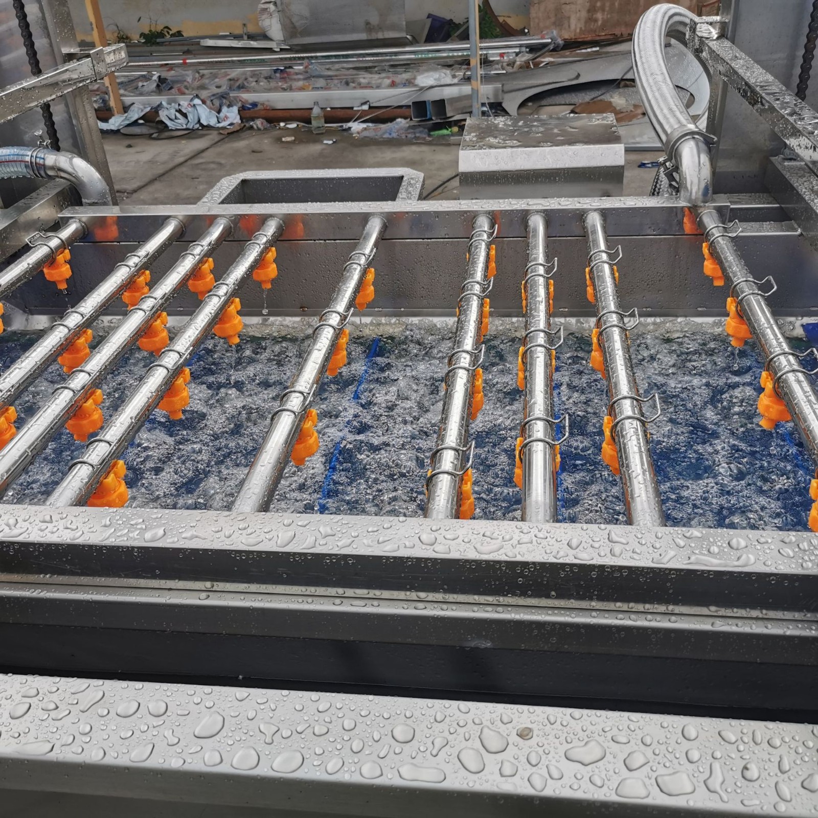 全自动毛豆清洗机 海鲜清洗设备 商用大型小龙虾流水线海参去杂机图4