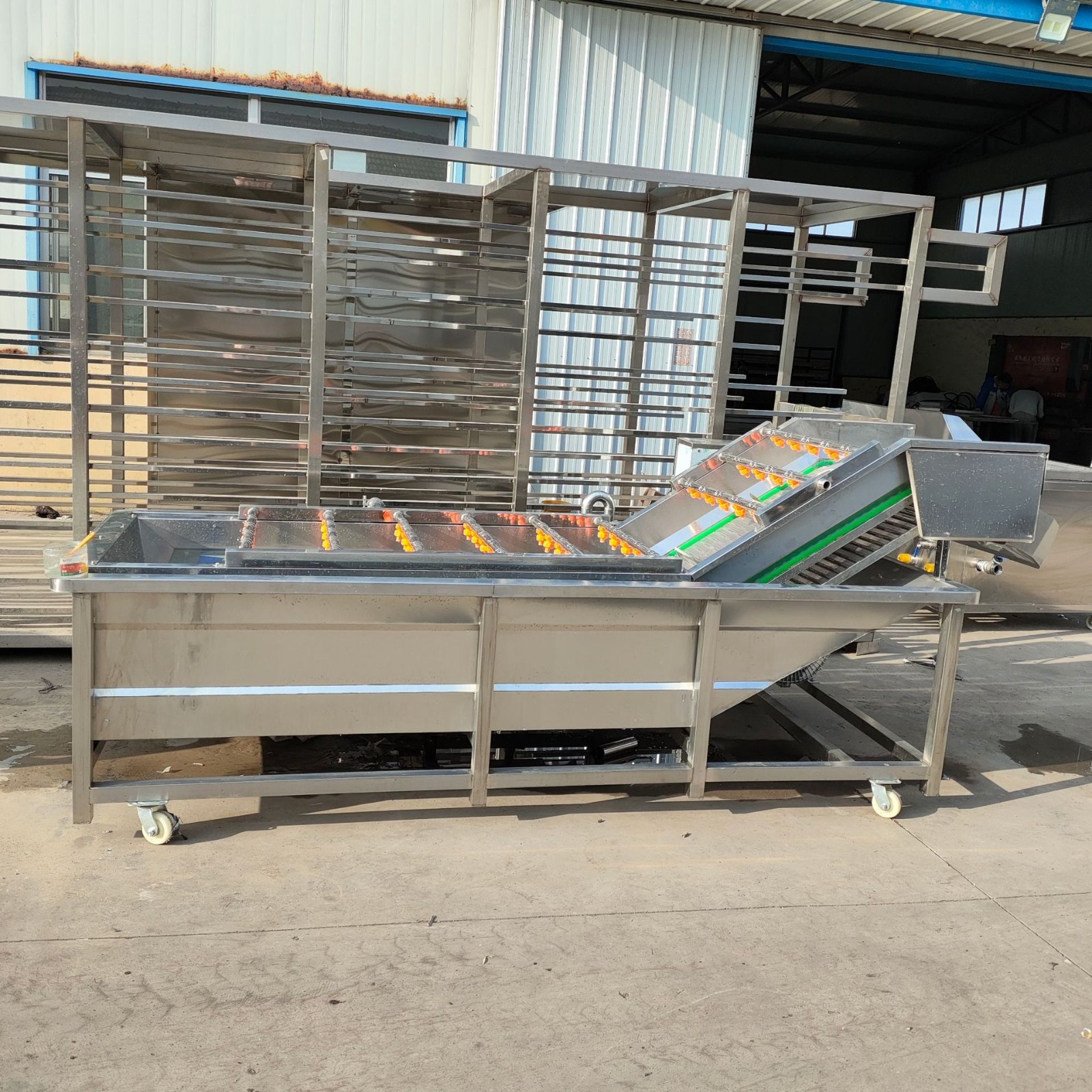 牛蒡气泡清洗机 全自动蔓菁喷淋去泥清洗设备 预制菜食材预处理图4