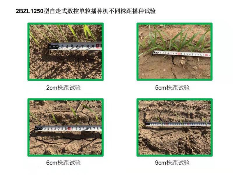 自走式数控单粒播种机(谷物类)图3