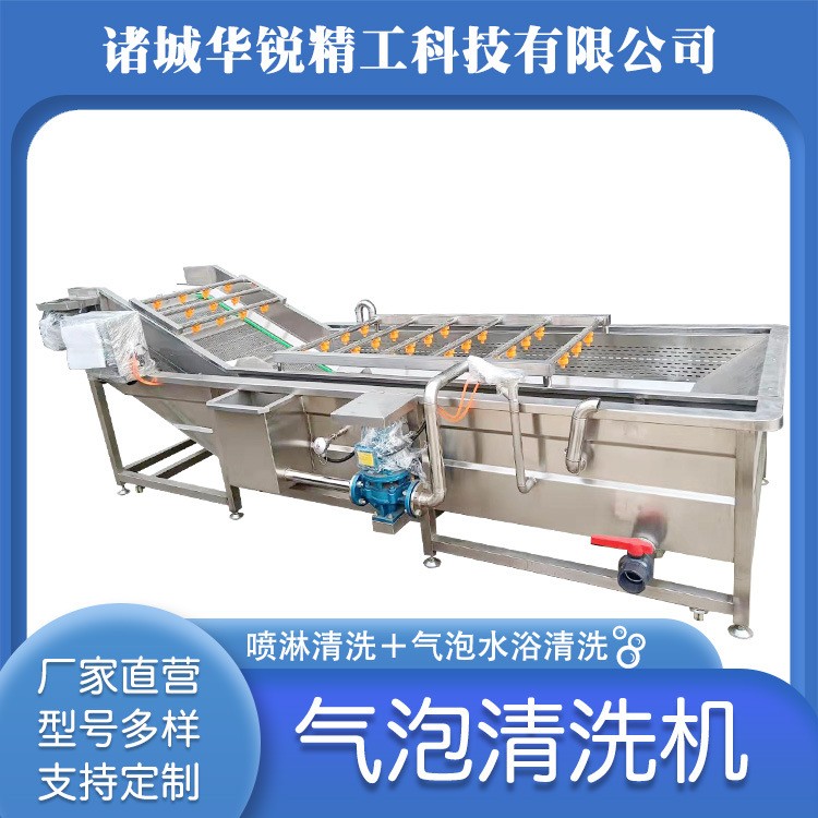 小型气泡清洗机 果蔬气泡清洗机 果蔬高压喷淋清洗设备油菜清洗机图3