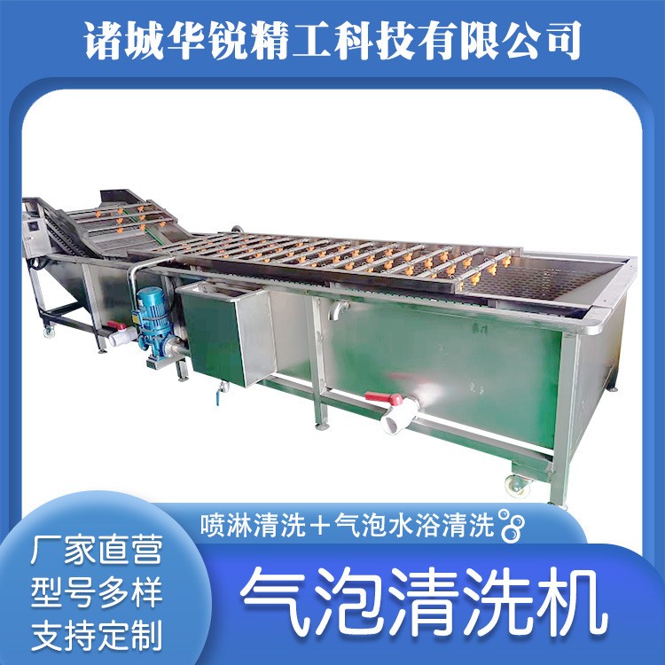 小型气泡清洗机 果蔬气泡清洗机 果蔬高压喷淋清洗设备油菜清洗机图2