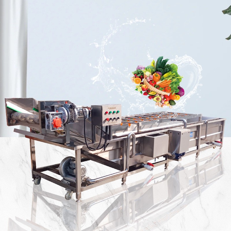 多功能气泡清洗机 商用杨梅蔓越莓清洗机器 全自动喷淋气泡清洗机图2