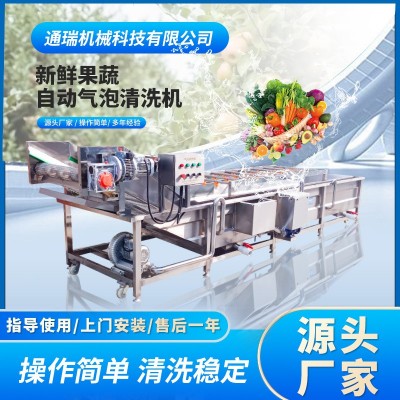 多功能气泡清洗机 商用杨梅蔓越莓清洗机器 全自动喷淋气泡清洗机