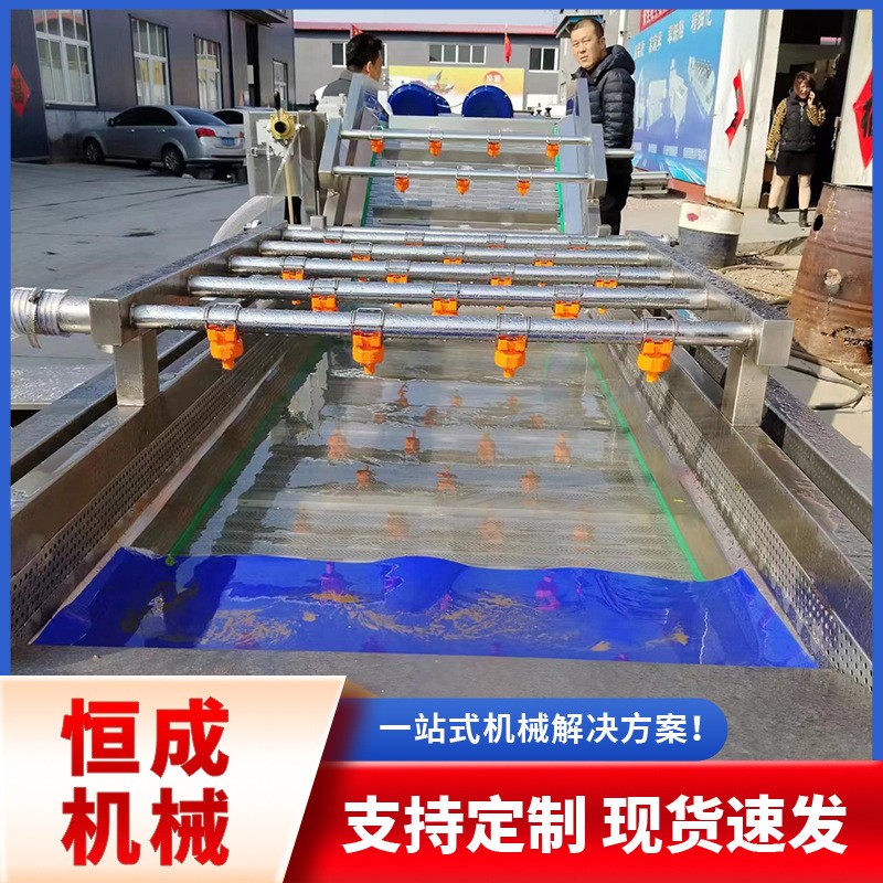 全自动药材把白菜萝卜清洗机蔬菜高压冲洗清洗流水线厂家直销优惠图2