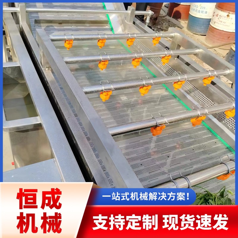 全自动药材把白菜萝卜清洗机蔬菜高压冲洗清洗流水线厂家直销优惠图3