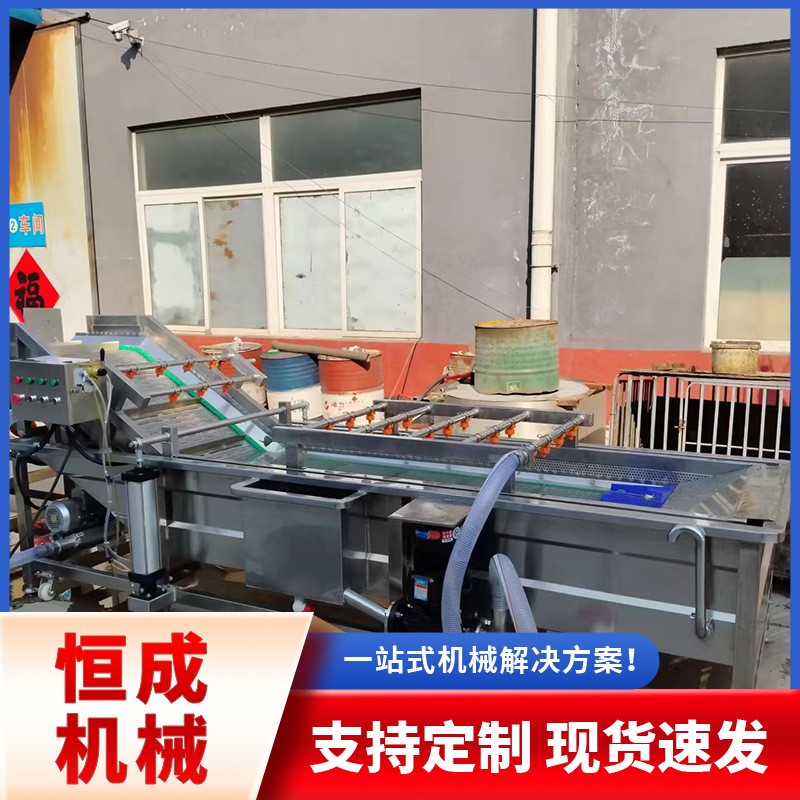 全自动药材把白菜萝卜清洗机蔬菜高压冲洗清洗流水线厂家直销优惠