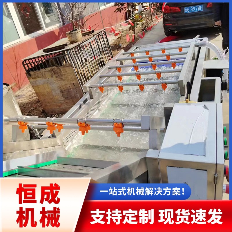 气泡玉米清洗 喷淋式洗菜机大姜果蔬清洗设备土豆萝卜去泥清洗机图4