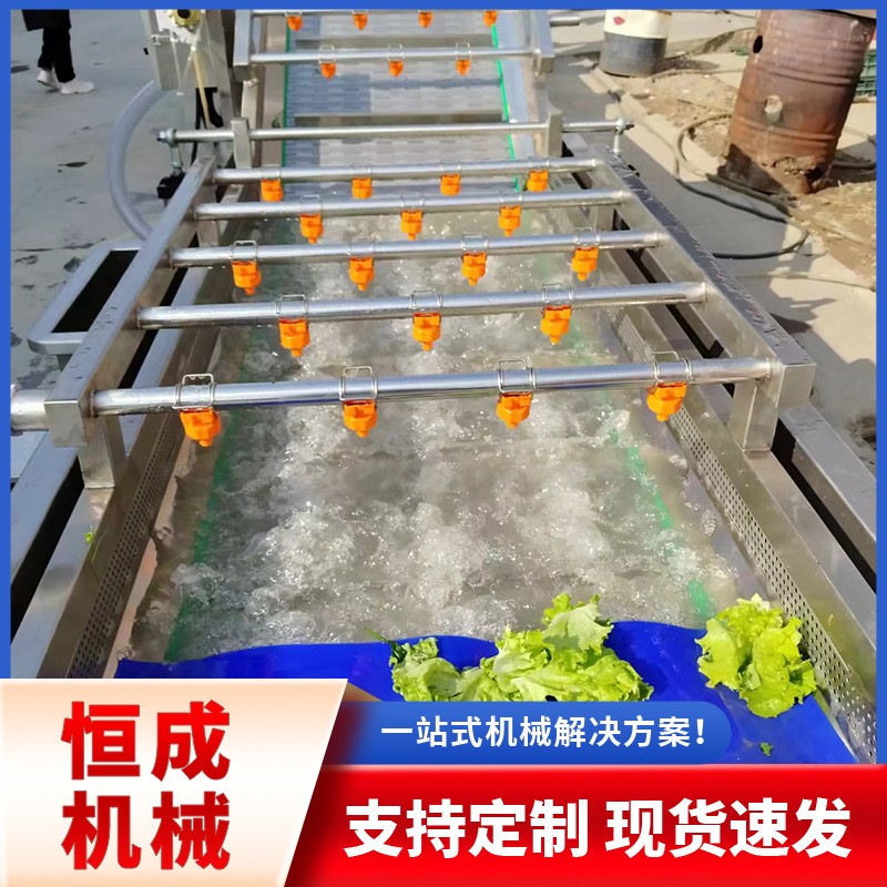 气泡玉米清洗 喷淋式洗菜机大姜果蔬清洗设备土豆萝卜去泥清洗机图3
