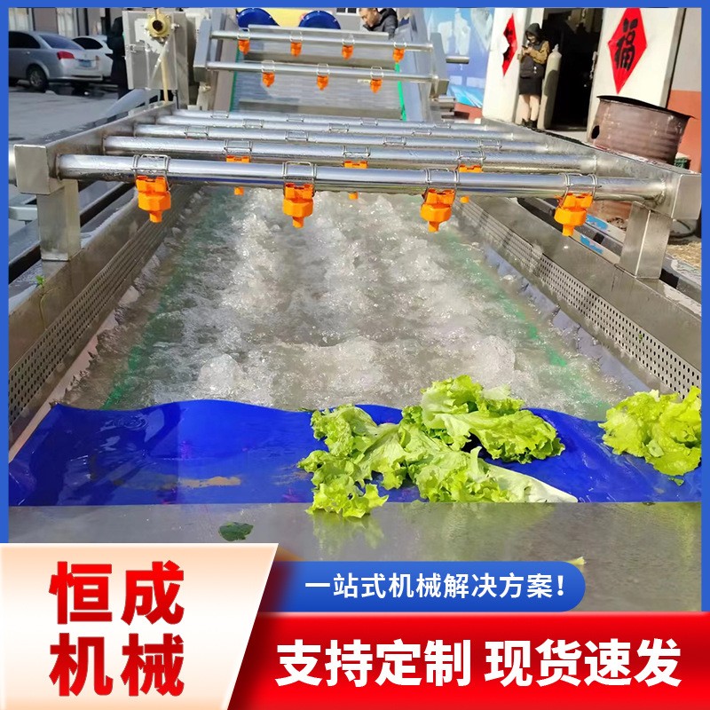 多种蔬菜水果药材大型喷淋清洗流水线大姜小龙虾高压喷淋清洗机图2