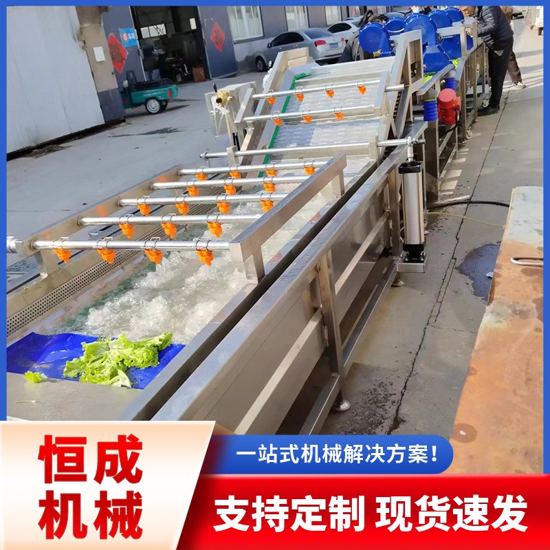 多种蔬菜水果药材大型喷淋清洗流水线大姜小龙虾高压喷淋清洗机图4