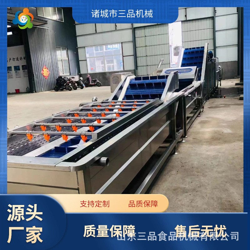 全自动枸杞清洗机 鲜花生气泡清洗机 果蔬大型清洗机流水线