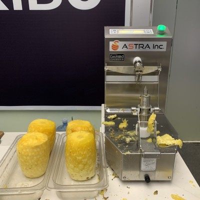 *商用菠萝芒果削皮机 商超果切用青芒去皮机 大瓜果除皮刨皮机