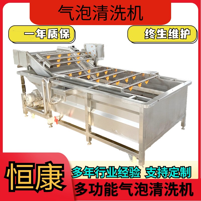 果蔬气泡清洗机包装袋清洗设备大枣喷淋式冲洗机蔬菜清洗流水线