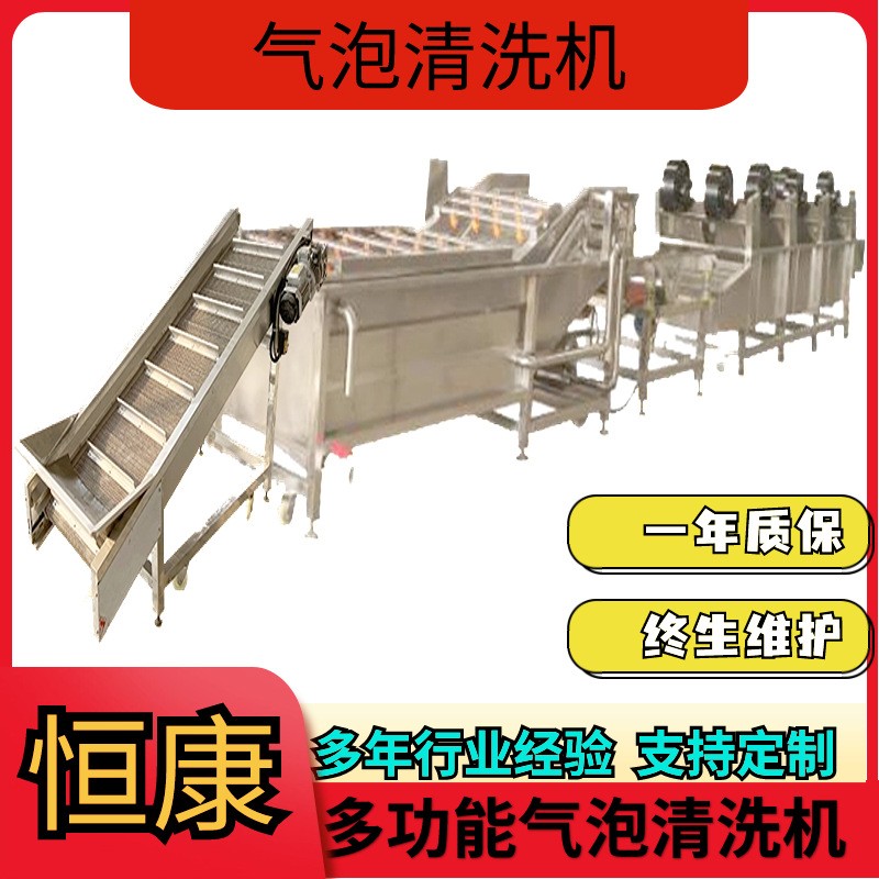 果蔬气泡清洗机包装袋清洗设备大枣喷淋式冲洗机蔬菜清洗流水线图2