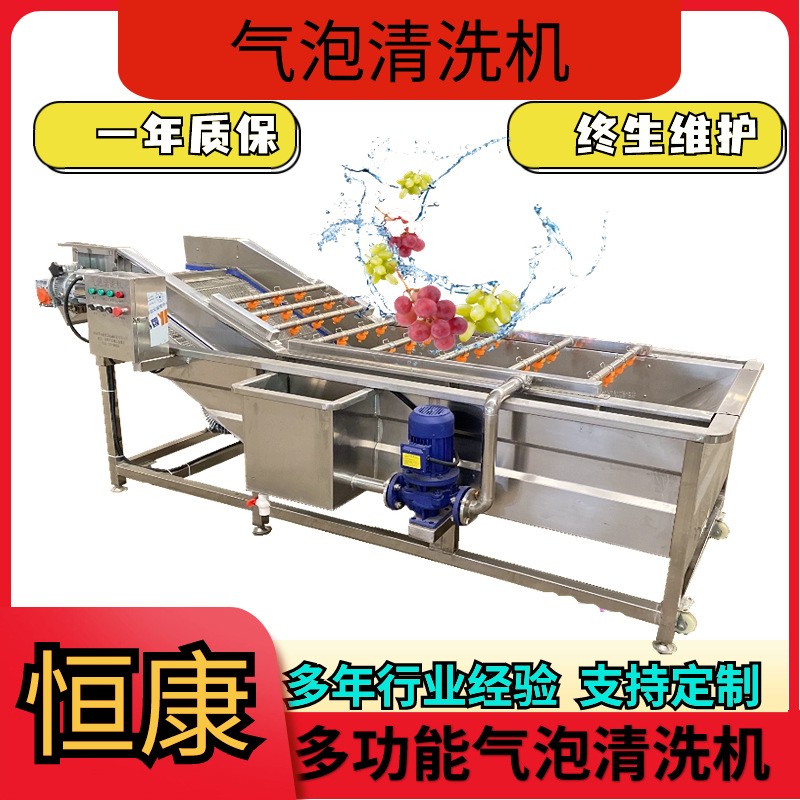果蔬气泡清洗机包装袋清洗设备大枣喷淋式冲洗机蔬菜清洗流水线图4