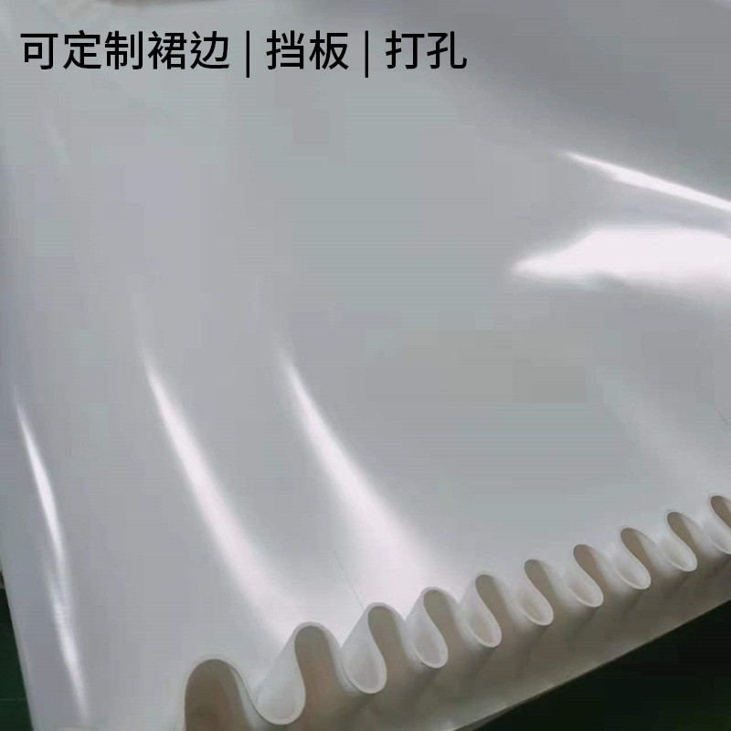 山东pu食品级输送带厂家直供裙边挡板导条耐寒低温 pvc易洁带皮带图4