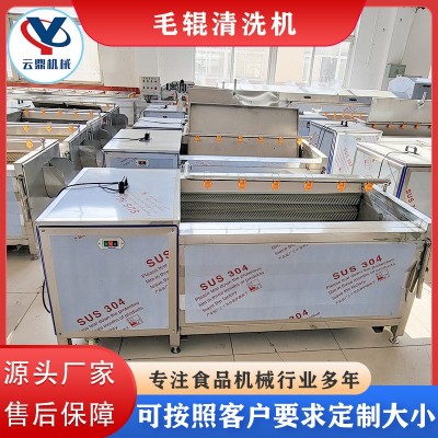 全自动毛辊清洗机 猪头猪蹄羊蹄去毛清洗机 肉类皮毛毛刷清洗机器