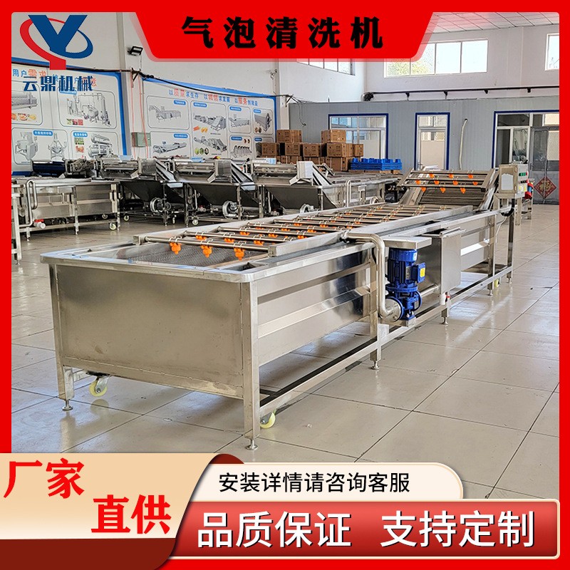 多功能气泡清洗机 商用杨梅蔓越莓清洗机器 全自动喷淋气泡清洗机图2