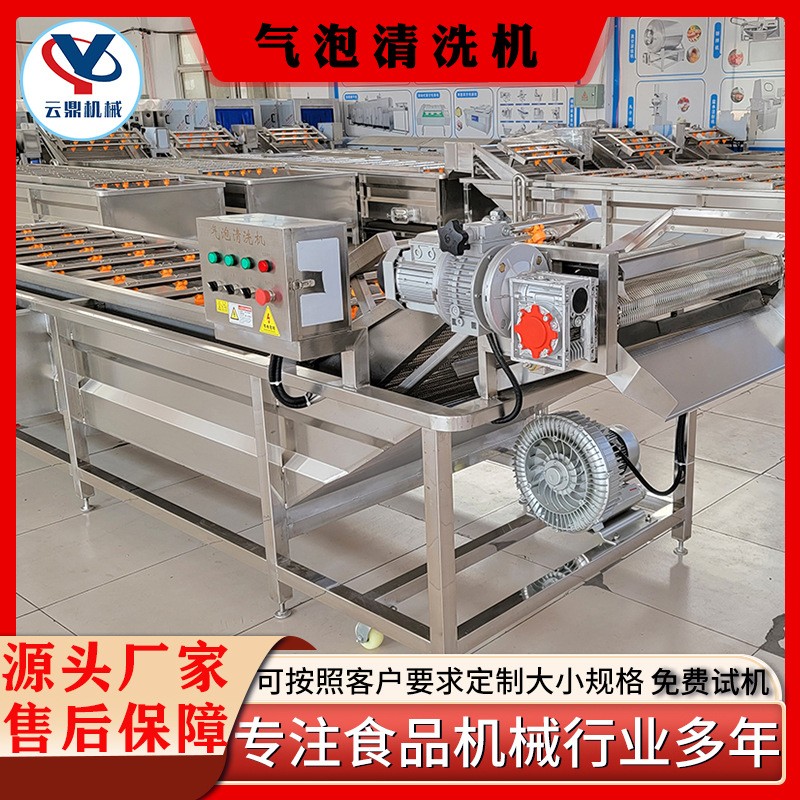 多功能气泡清洗机 商用杨梅蔓越莓清洗机器 全自动喷淋气泡清洗机图4