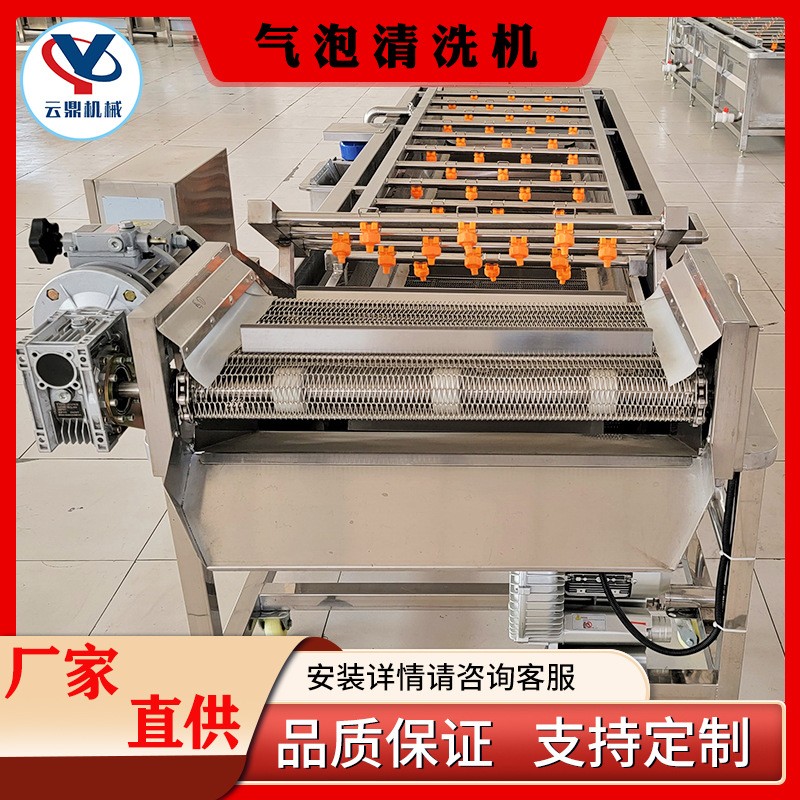 多功能气泡清洗机 商用杨梅蔓越莓清洗机器 全自动喷淋气泡清洗机图3